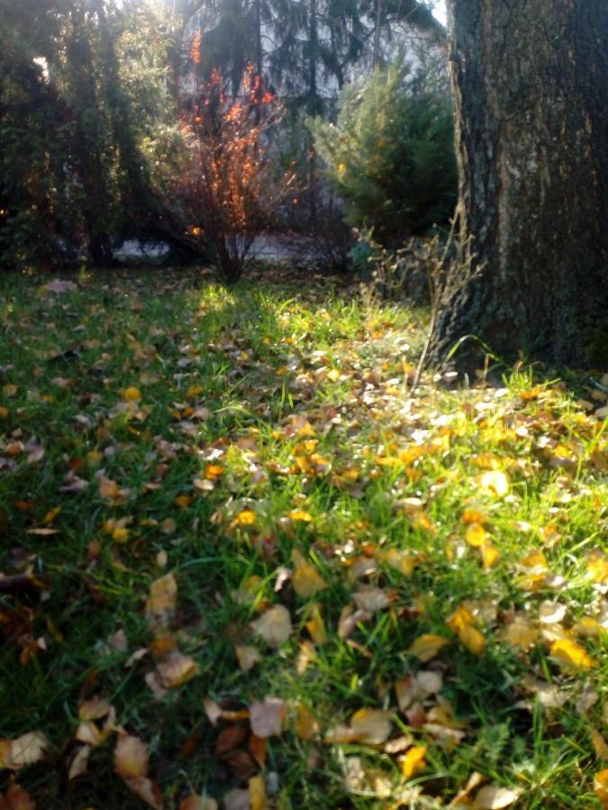 Roztoczanski Dworek Zamość Dış mekan fotoğraf